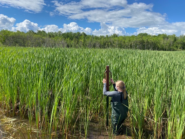 Research Priority Image for Native Species